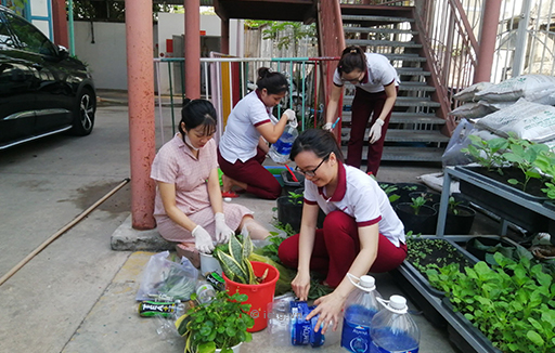 Trồng cây xanh trong phòng học, khuôn viên và sân trường tạo môi trường xanh và thoáng mát
